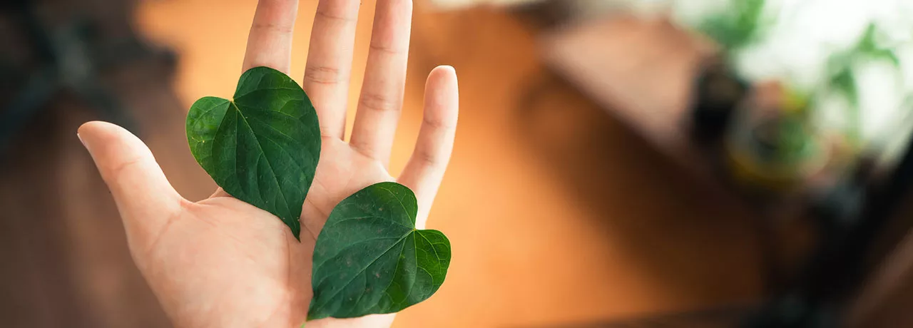 Mão segurando duas folhas para representar práticas ESG em empresas 