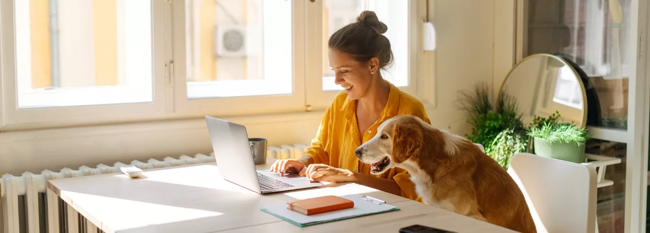 política de home office 