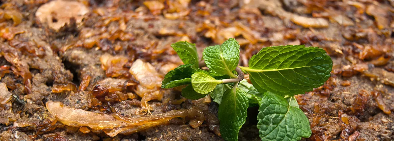 quibe-assado-nutritivo 