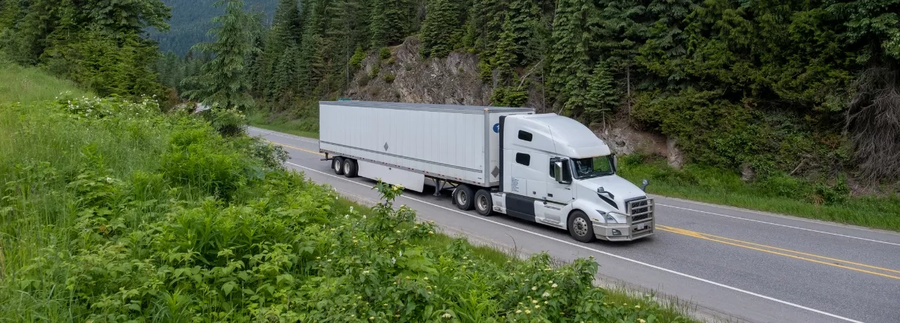 monitoramento da frota redução de custos 