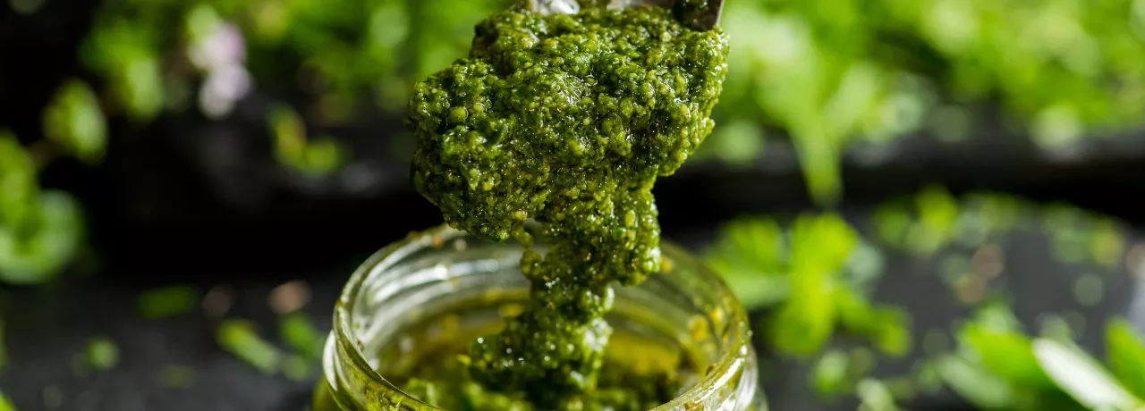 receita molho pesto de folhas de cenoura 