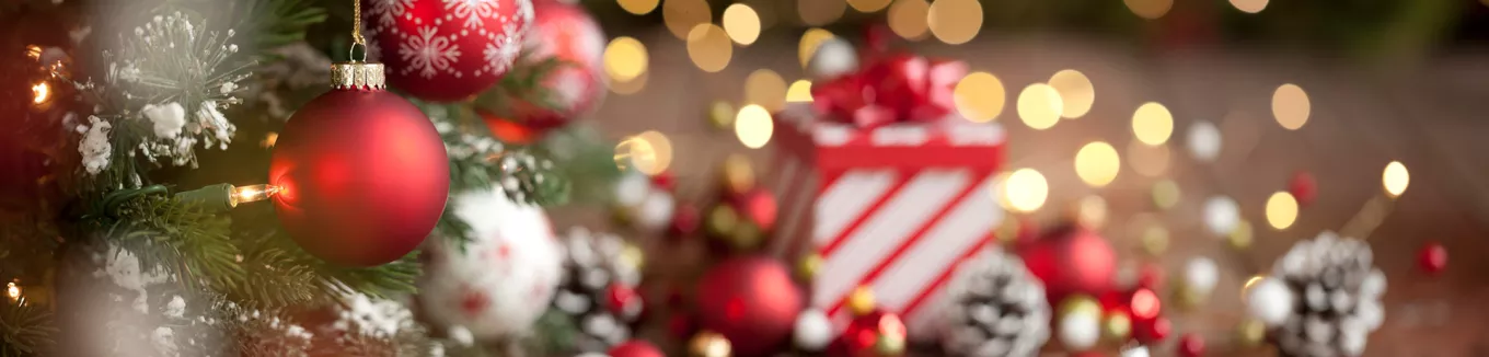 Imagem mostra uma mesa de Natal com um presente ao fundo 