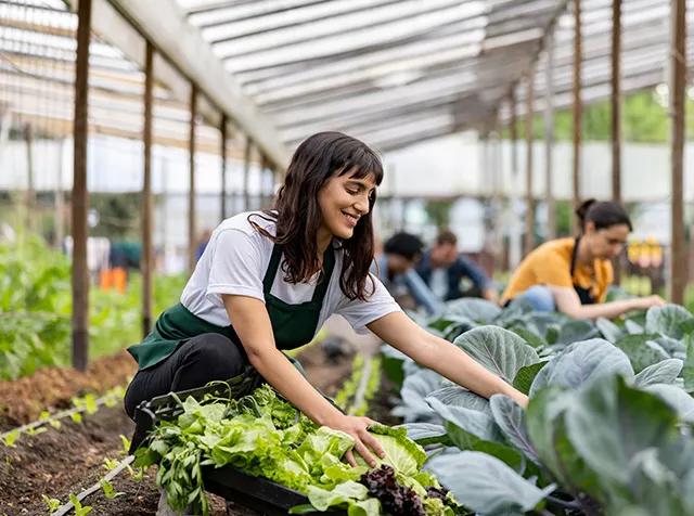 Foto de pessoas cuidando de uma horta em uma estufa