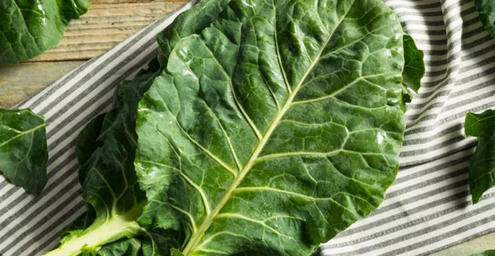 Conheça as propriedades do couve para melhorar sua saúde