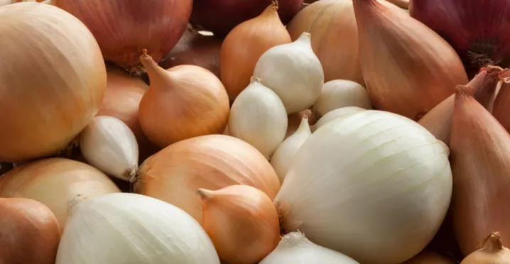 Entenda por que a cebola faz bem para sua saúde