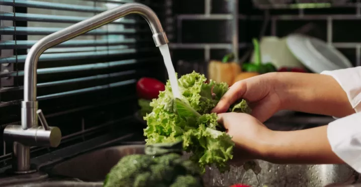 guia legal do vale alimentação