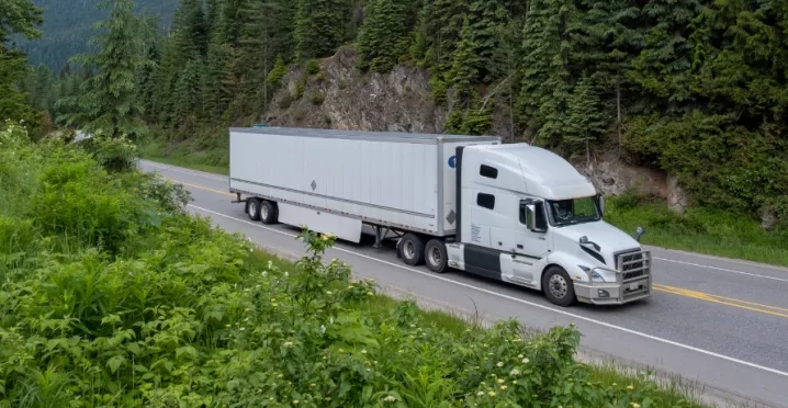 monitoramento da frota redução de custos