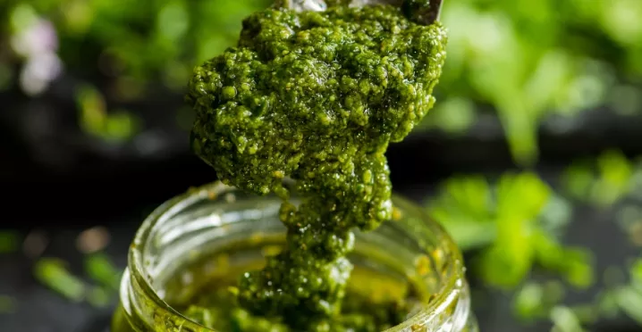 receita molho pesto de folhas de cenoura