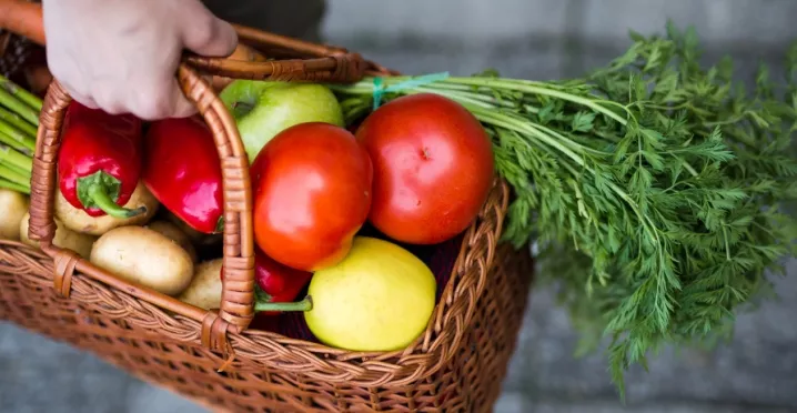 vantagens do pat para pequenas empresas