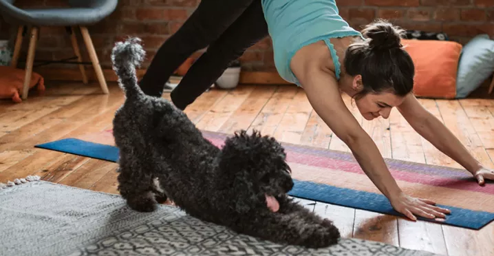 Dicas para manter uma rotina saudável em casa