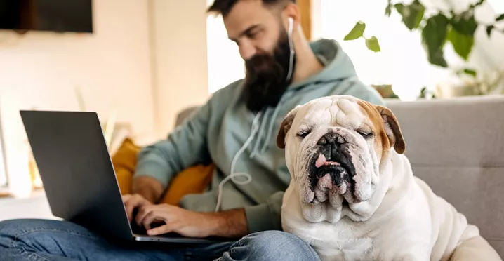 Foto mostra profissional trabalhando de casa com seu cão fazendo companhia