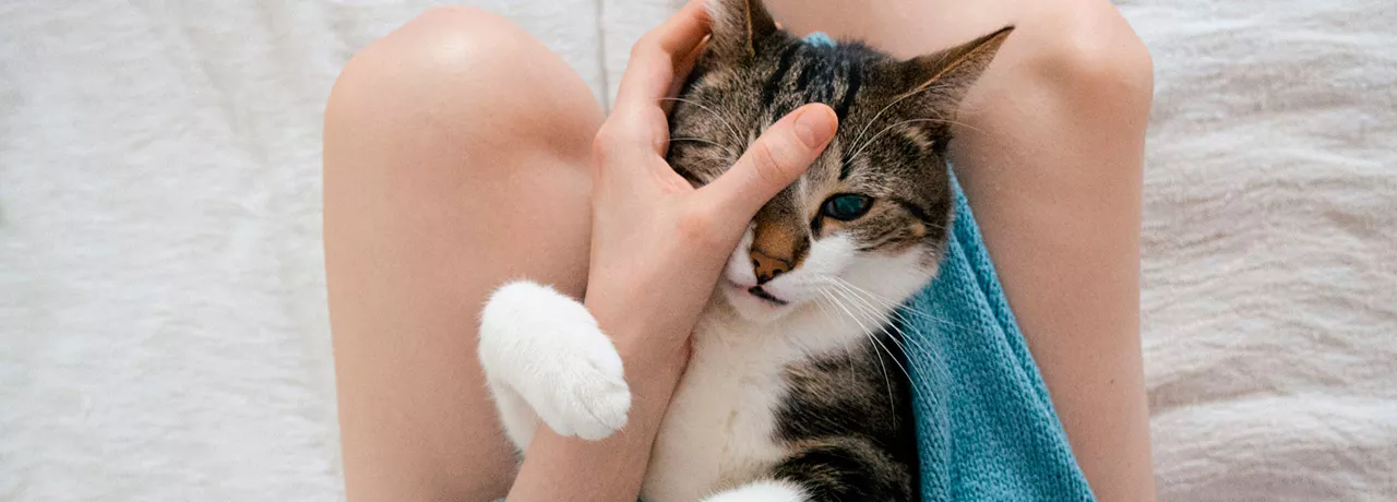 Quais são os benefícios ideiais para quem trabalha de casa? Confira no artigo