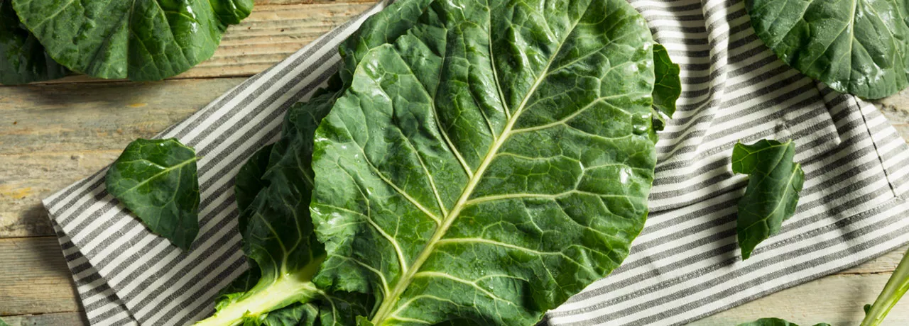 Conheça as propriedades do couve para melhorar sua saúde