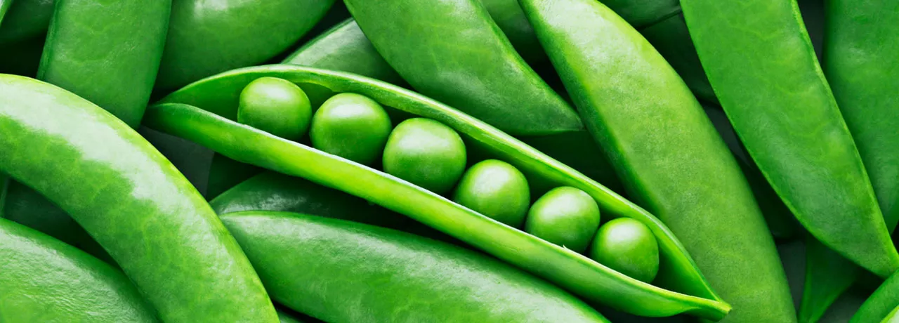Saiba por que você precisa incluir as ervilhas na dieta