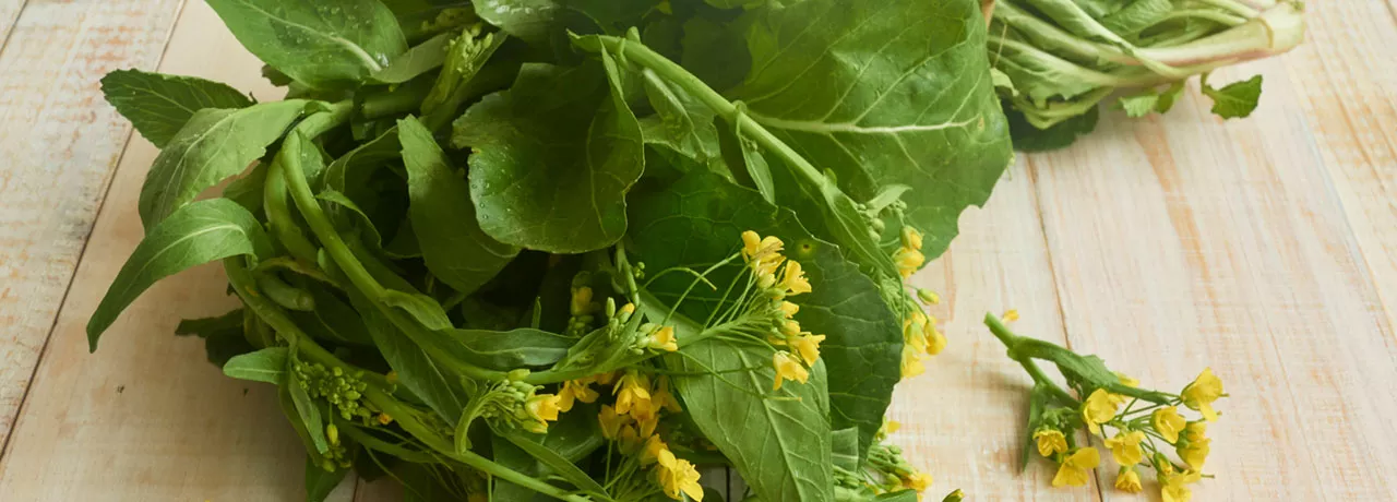 Conheça os benefícios das folhas de mostarda para sua dieta