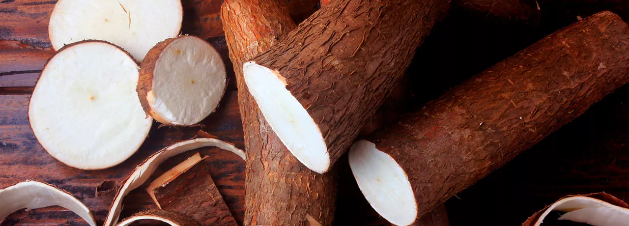 Saiba como inserir a mandioca na sua dieta e ter mais saúde