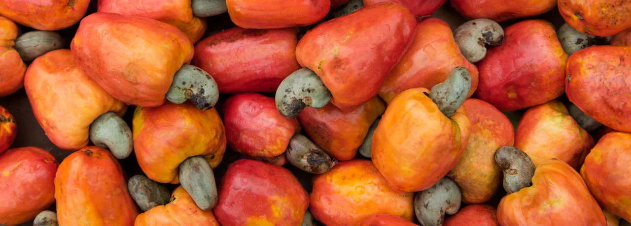 Saiba os benefícios do caju para sua saúde