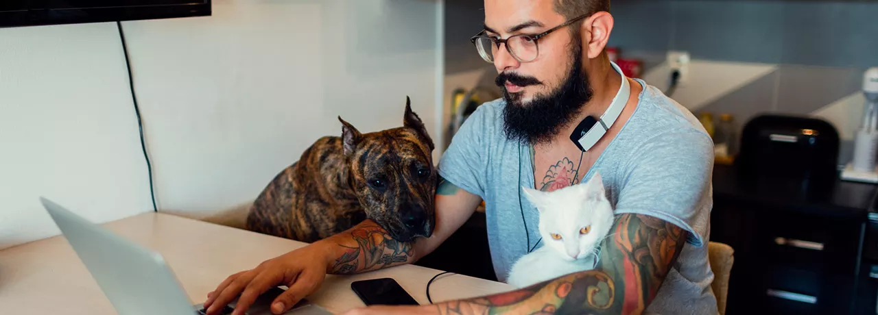 Homem trabalha de casa na companhia de seu cachorro e de seu gato