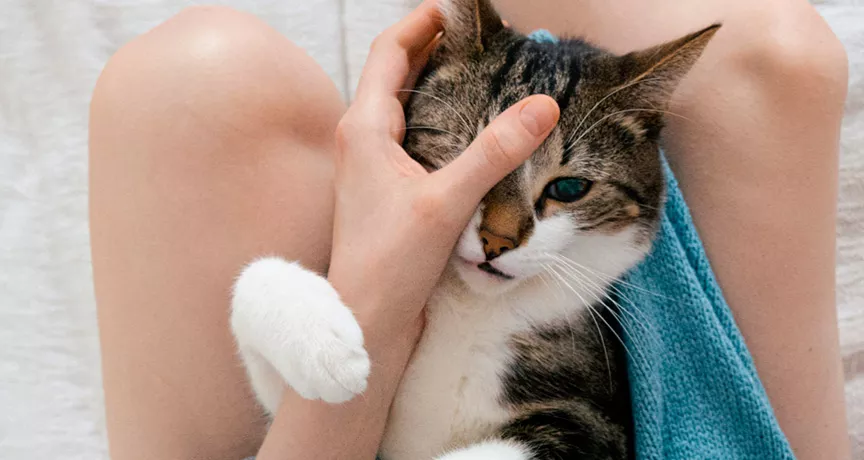 Quais são os benefícios ideiais para quem trabalha de casa? Confira no artigo