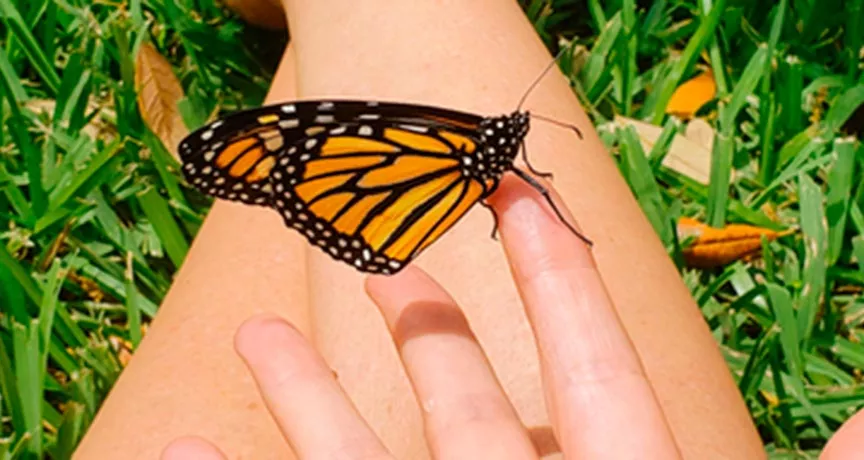 Como ser paciente com os colegas de trabalho? É possível