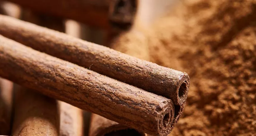 Canela faz bem para a saúde? Veja os benefícios desta especiaria