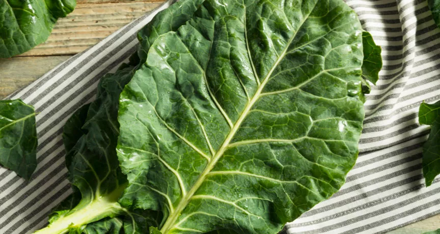 Conheça as propriedades do couve para melhorar sua saúde