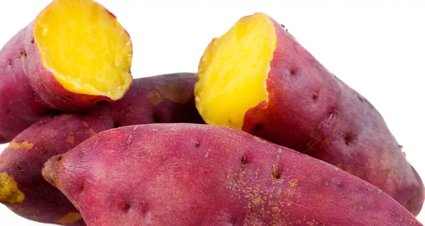 Inclua mais batata doce na sua dieta! Veja no artigo