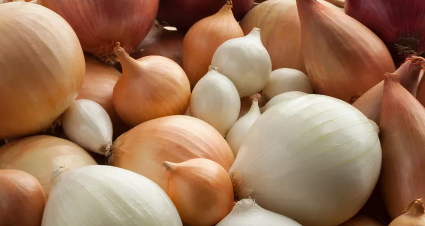 Entenda por que a cebola faz bem para sua saúde