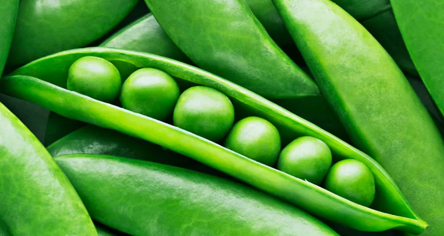 Saiba por que você precisa incluir as ervilhas na dieta