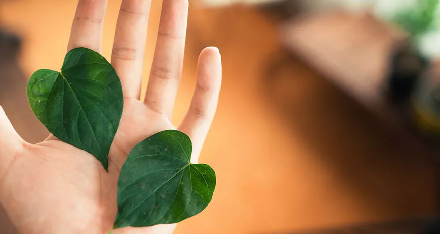 Mão segurando duas folhas para representar práticas ESG em empresas