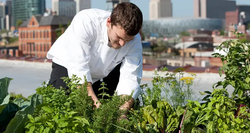 hortas urbanas para restaurantes