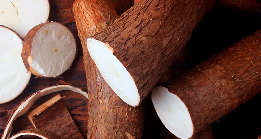 Saiba como inserir a mandioca na sua dieta e ter mais saúde
