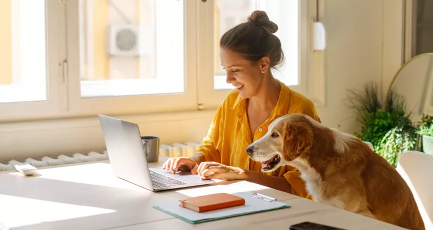 política de home office