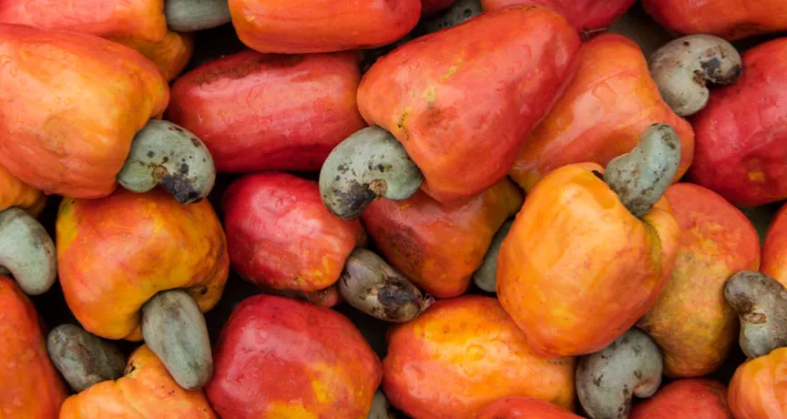 Saiba os benefícios do caju para sua saúde