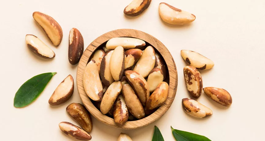 Castanha do pará faz bem? Veja como incluir este superalimento na sua dieta