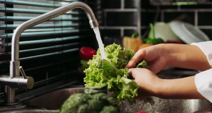 guia legal do vale alimentação