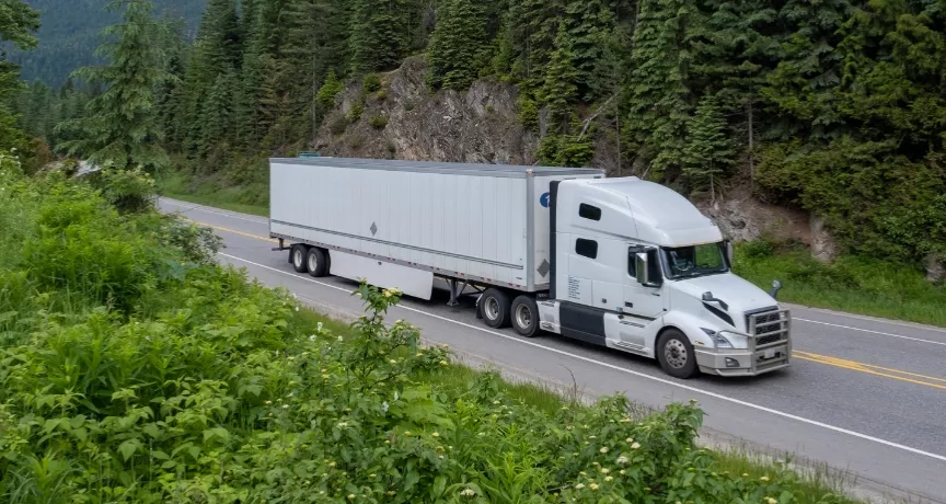 monitoramento da frota redução de custos