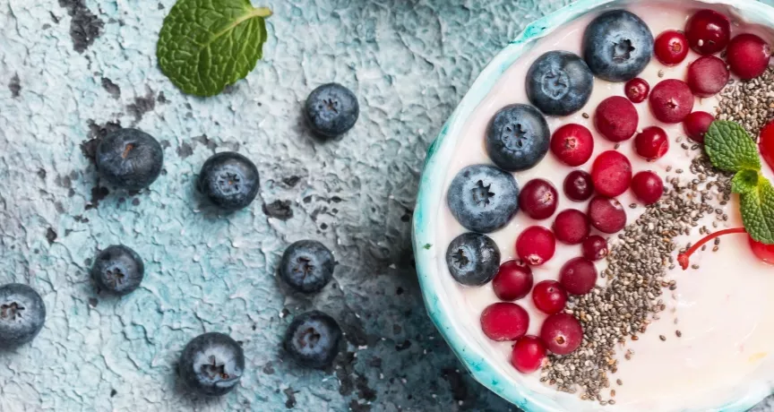 receita iogurte natural sem lactose