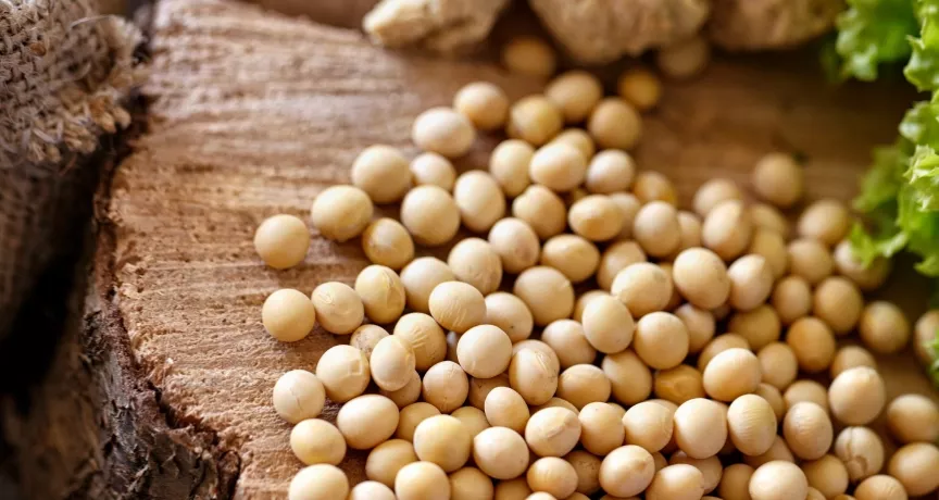 receita salada de soja em grãos com talos