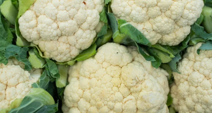 superalimento couve flor