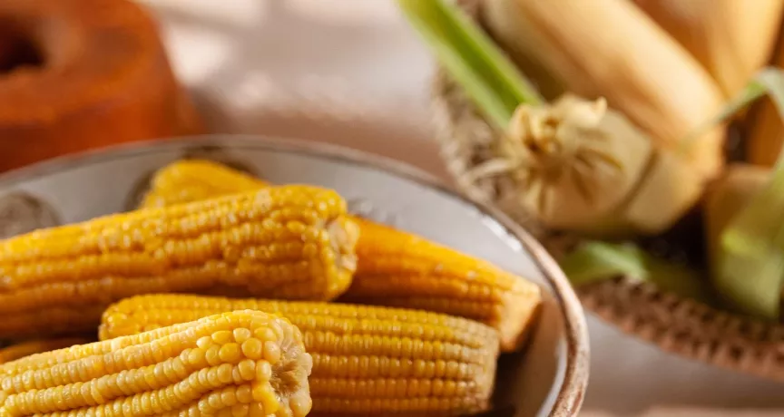 superalimento milho