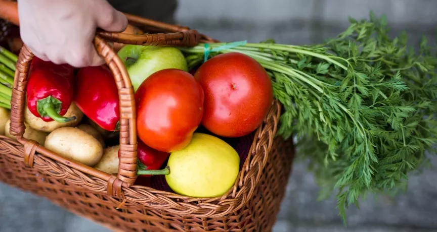 vantagens do pat para pequenas empresas