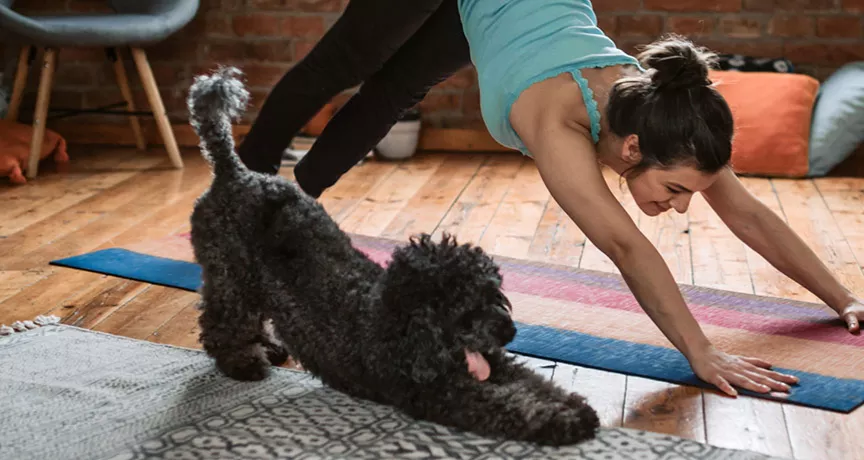 Dicas para manter uma rotina saudável em casa
