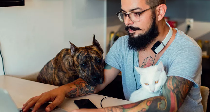Homem trabalha de casa na companhia de seu cachorro e de seu gato