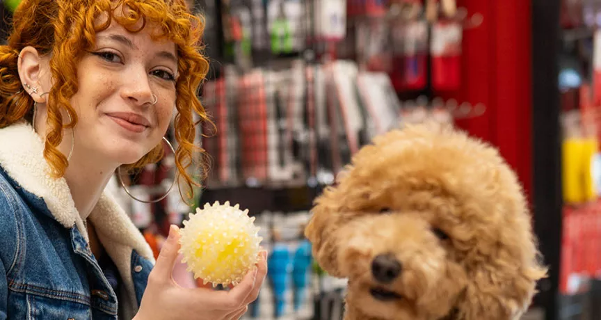 Jovem profissional compra brinquedo para seu cachorro com seu benefício flexível da empresa.