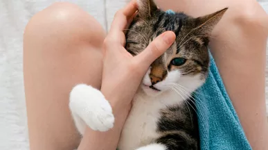 Quais são os benefícios ideiais para quem trabalha de casa? Confira no artigo