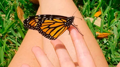 Como ser paciente com os colegas de trabalho? É possível