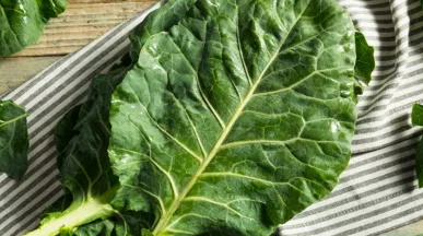 Conheça as propriedades do couve para melhorar sua saúde