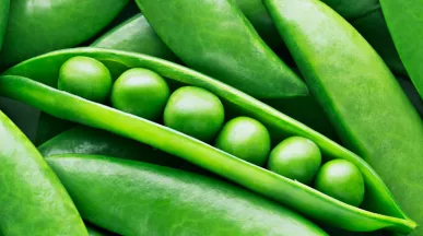 Saiba por que você precisa incluir as ervilhas na dieta