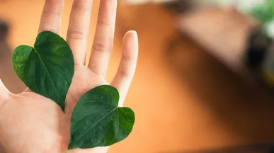 Mão segurando duas folhas para representar práticas ESG em empresas